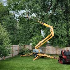 Best Sod Installation  in Menifee, CA